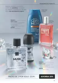 Catálogo AVON Página 41