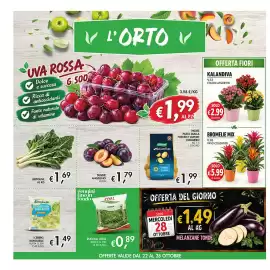 Volantino Coal Pagina 4: Naturella patate gialle €1,99, Bromelie mix €5,99