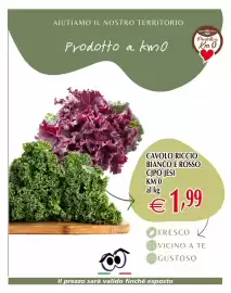 Volantino Centro Oceano Pagina 5: Cavolo Riccio Bianco e Rosso Cipo Jesi €1,99