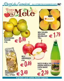 Volantino Centro Oceano Pagina 7: Mele Golden Ruggine €0,99, Mele Golden Delicious Melinda DOP €1,79
