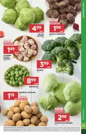 Stokrotka gazetka tydzień 43 Strona 14: Sałata Lodowa €4,99, Buraki Czerwone €1,99