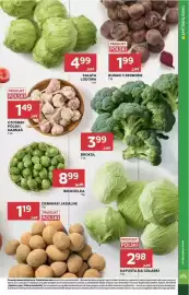 Stokrotka gazetka tydzień 43 Strona 15: Sałata Lodowa €4,99, Buraki Czerwone €1,99