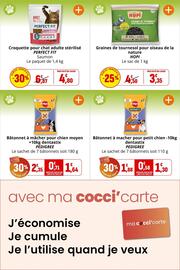 Catalogue Coccinelle Supermarché page 42: PEDIGREE Bâtonnet à mâcher pour chien moyen €1,64