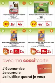Catalogue Coccinelle Supermarché page 42: PEDIGREE Bâtonnet à mâcher pour chien moyen €1,64