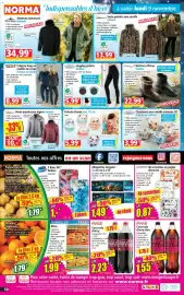 Catalogue Norma semaine 45 page 10: Allumettes longues €1,49, DAUNASOFT serviettes en papier décorées €0,87