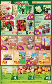 Catalogue Norma semaine 45 page 4: Coup de pousse €1,49, The friends Boules de graisse pour oiseaux €1,29