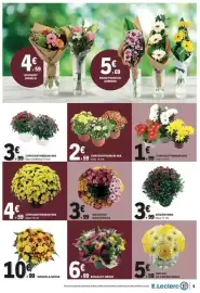 Folheto E.Leclerc Página 5: Chrysanthemum mix €1,99, Chrysanthemum mix €2,59