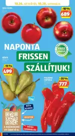 ALDI akciós újság hét 43 Oldal 24