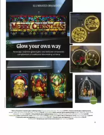 Webbs leaflet Page 11