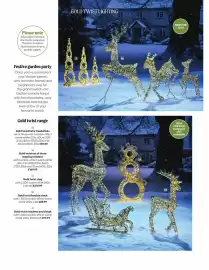 Webbs leaflet Page 7