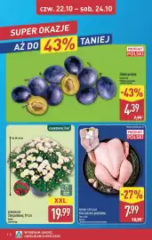 ALDI gazetka | Oferta weekendowa Strona 2: Kurczak bez podrobów €7,99, GARDENLINE Chryzantemy €19,99
