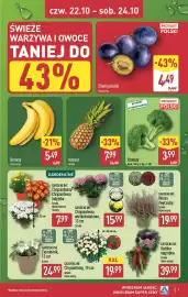ALDI gazetka | Oferta weekendowa Strona 7: Brokuły €3,99, Ananas €7,99