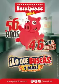 Catálogo Ferniplast Página 1: Lamiglast Terniplast Caja 2 TOTAL 56.88 AÑOS Caja 2 46 CaL SIN INTERES consulte medios de pago