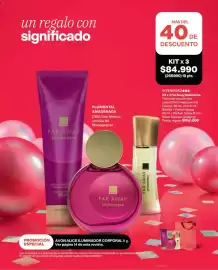 Catálogo Avon Página 13