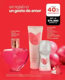 Catálogo Avon Página 17