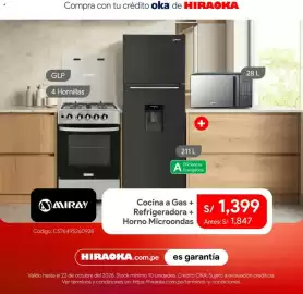 Catálogo Hiraoka Página 6