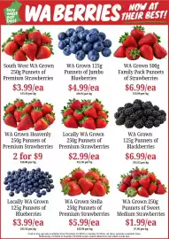 Farmer Jack's catalogue week 43 Page 2: WA Grown Stella Premium Strawberries €5,99, Locally WA Grown Blueberries €3,99