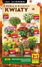 Biedronka gazetka Strona 13