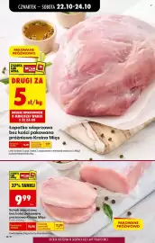 Biedronka gazetka Strona 19