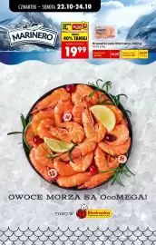 Biedronka gazetka Strona 63
