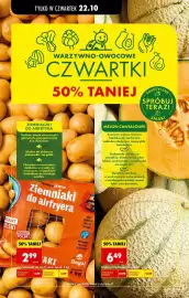 Biedronka gazetka Strona 64