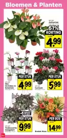 Vomar Voordeelmarkt folder Pagina 41: Cyclaam €5,99, Mini Orchidee in Keramiek €4,99