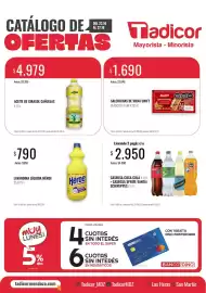 Catálogo Supermercados Tadicor semana 43 Página 1: Coca cola - gaseosa €2.950,00, Lavandina líquida €790,00