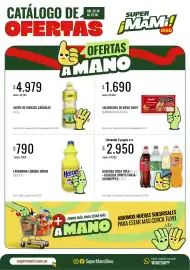 Catálogo Super MAMI semana 43 Página 1: Heroe lavandina liquida €790,00, Cañuelas aceite de girasol €4.979,00