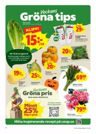 Stora Coop reklamblad vecka 44 Sida 8: Salladsmix €20,00, Rosor 9 pack €79,90