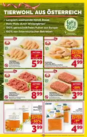Billa Flugblatt woche 43 Seite 7