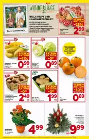Billa Flugblatt woche 43 Seite 6