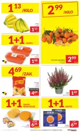 Intermarché folder week 44 Pagina 3: Calluna Garden Girls €1,49, Gewassen wortelen €1,98