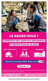 Catalogue Carrefour Market | Produits laitiers et végétaux page 54