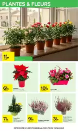 Catalogue Carrefour | Vos promos du quotidien page 30: Le poinsettia €6,49, La composition €7,99