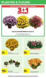 Catalogue Carrefour | Vos promos du quotidien page 31: Chrysanthème €2,89, La jardinière Jardinière de chrysanthèmes €8,99