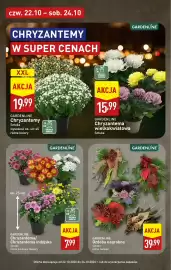 ALDI gazetka tydzień 43 Strona 3: GARDENLINE Ozdoba nagrobna €39,99, GARDENLINE Chryzantema/Chryzantema indyjska €7,99