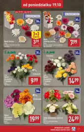 ALDI gazetka tydzień 43 Strona 9: JUMI Bukiet chryzantem €14,99, Kwiat sztuczny premium €7,99