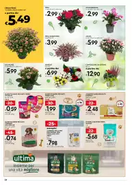 Volantino Bennet | Spaccaprezzi Pagina 24: Alimento umido per gatti Purina One €1,99, Rosa €2,99