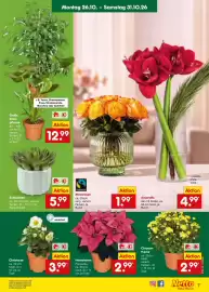 Netto Marken-Discount (gültig bis 31-10)