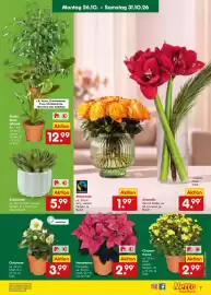 Netto Marken-Discount Prospekt Seite 9