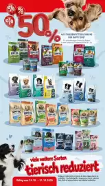 Zookauf Prospekt woche 43 Seite 2: % % 85000 % % AUF TROCKENFUTTER & SNACKS VON HAPPY DOG* Für ausgewachsene Hunde und