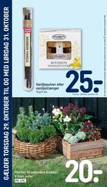 REMA 1000 tilbudsavis uge 44 Side 34: Planter til udendørs krukker €20,00, Vaniljepulver eller vaniljestænger €25,00