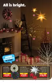 Aldi leaflet Page 8: Led Bauble Garland/Wreath €7,99, 3D Bright Star €9,99
