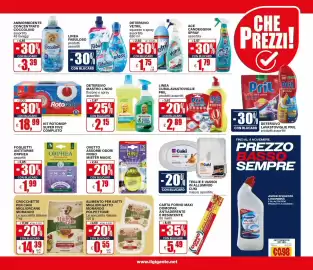 Volantino Il Gigante Pagina 15: Detersivo Vetril €1,75, Detersivo Mastro Lindo €2,15