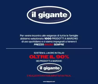 Volantino Il Gigante Pagina 20