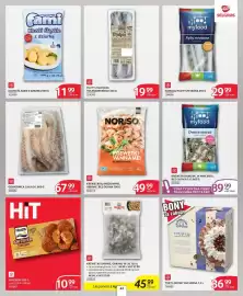Selgros gazetka Strona 37: Norso Krewetki Vannamei Blanszowane €49,99, OŚMIORNICA CAŁA OK. 800 G €67,99