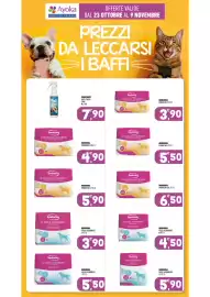 Volantino Ayoka Pagina 15: Inodorina pannolini assorbenti €6,50, Inodolina fasce assorbenti cani maschi €4,50