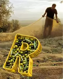 Volantino BricolaRge Pagina 1