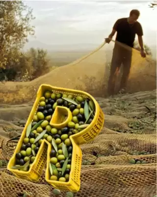 BricolaRge (valido fino al 1-11)