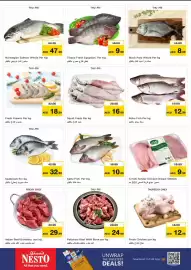 Nesto catalogue Page 14